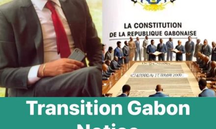 TRIBUNE LIBRE/GABON: Mise en garde contre une future constitution présidentocratique, de nature à ebranler les fondements de la République.