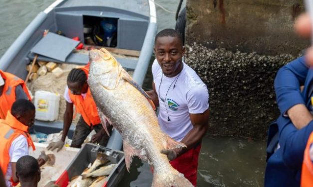 Des pécheurs gabonais dénoncent les tracasseries diverses dont ils sont victimes