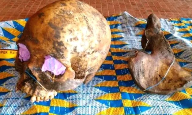 Un trafiquant d&rsquo;ossements humains, intercepté dans le nord du Gabon