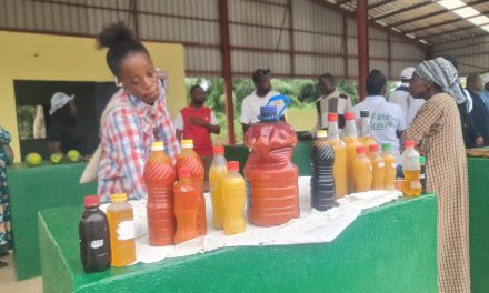 Setrag dote la bourgade d’Andem d’un marché communautaire